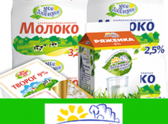 В Камышине ООО «Любимый город» пошло на прорыв на творожном направлении