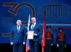 Депутатов Облдумы от камышан наградили за то, что они развивали парламентаризм, как именно развивали - не уточняется