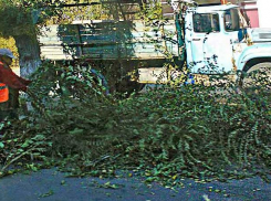 «Камышинские межрайонные электросети» отключат 8 октября на полдня электричество на улицах Стахановской и Нахимова