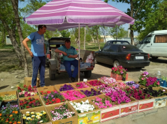 В Камышине открылись цветочные базары