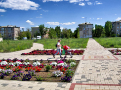 В Камышине в парке Текстильщиков оформили первые цветники