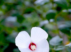 Синоптики предсказали камышанам после солнечного вторника небольшой ночной дождь