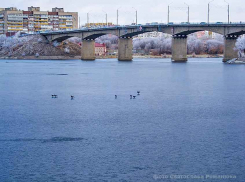 На Камышинке появился первый лед