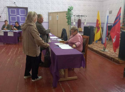 За новых глав Саломатино и Семеновки в Камышинском районе пока отдали голоса порядка сотни человек в каждом селе