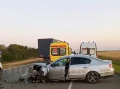 Крупная авария произошла сегодня, 17 августа, на трассе Москва-Волгоград (ВИДЕО)