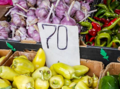 Роспотребнадзор составил для камышан противовирусный «букет»