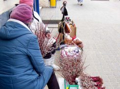 Камышане требуют от местных экологов взять под защиту вербу