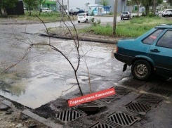 Дорогие власти нашего города, нам так и ездить под знак «ветка»? - камышанин