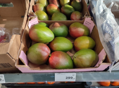 В Камышине продают зеленые плоды манго по 300 рублей за килограмм