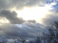 В соседнем с Камышинским - Дубовском районе после гулянки обезумевший фигурант оставил 38-летнюю сожительницу без головы - в прямом смысле