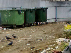 За мусорными контейнерами в Камышине теперь присмотрит искусственный интеллект