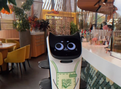 В волгоградском ресторане Котика - робота на колесиках отправили обслуживать посетителей