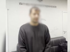 Молодой мужчина прикинулся женщиной и распространял детскую порнографию