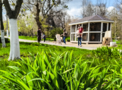 Короткая рабочая неделя началась у камышан