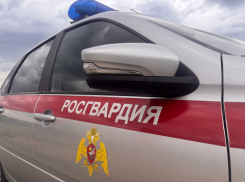 В Камышине росгвардейцы задержали молодого человека, подозреваемого в тяжком преступлении