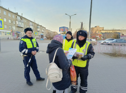 В Камышине сотрудники Госавтоинспекции вышли на прямой диалог с пешеходами