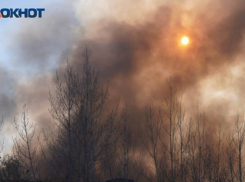 Сосновый лес на большой площади загорелся в Волгоградской области