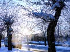 В Камышине морозы ослабеют в выходные и пойдет снег