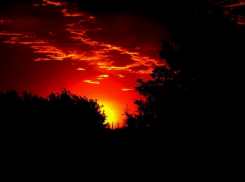 На полигоне под Камышином погиб десантник-контрактник 56-й ОДШБР