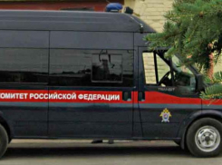 В соседнем с Камышином по берегам Волги - Николаевском районе мужчина вспахал мотоблоком огород и скончался