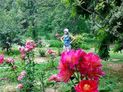 В Камышин возвращается жара