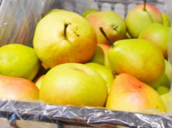 В Камышине садоводы, сумевшие сохранить груши, выложили их на прилавки рынка по 400 рублей