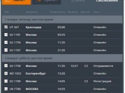 Камышане застряли у трапа - из-за сильного тумана залихорадило волгоградский аэропорт