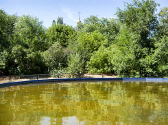 Не пора ли в городском парке Камышина вымыть «пруд» для аттракциона на воде? - камышанка