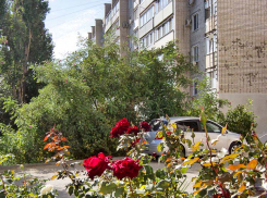 Пресс-служба губернатора рассказала, что в Камышине отремонтирована только треть подъездов из плана на 2024 год