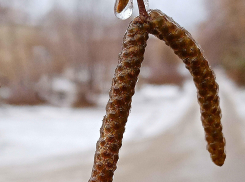 В Камышине наступившие выходные будут дождливыми