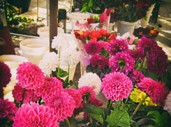 «Пусть учителя скинутся нам на профпраздники»: жители Волгоградской области отказываются поздравлять за свои деньги педагогов 