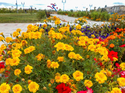 +25  и много солнца: прекрасный день дарит природа камышанам 9 сентября