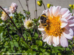 +29, малооблачно - прогноз для Камышина на 14 августа