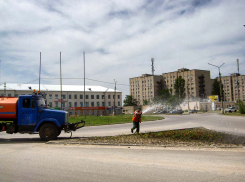 В Камышине озеленители высадили цветочную рассаду и начали ее полив