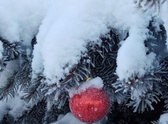 Мороз и солнце - таким будет в Камышине понедельник 27 декабря