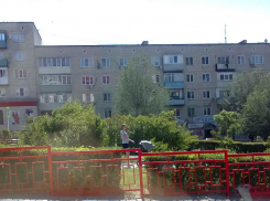 На Сиреневом бульваре в Камышине от сирени осталось только название, - камышанка