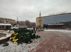 В Камышине начали сооружать елку у ДК «Текстильщик»