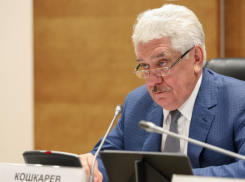 Почему депутат Волгоградской облдумы Илья Кошкарев досрочно сдал мандат