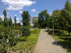 В Камышине жителям нескольких домов придется все наглаживать к 1 сентября сегодня - завтра с утра не будет света