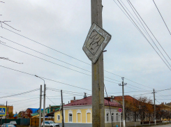 Что на дорожном знаке в Камышине, жираф? - камышанин