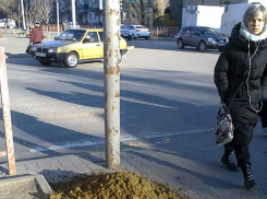 Жители Волгоградской области хотят уехать из региона из-за низких зарплат, отсутствия работы по профессии и плохого здравоохранения