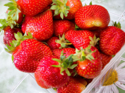 В Камышине цена на крупную местную клубнику установилась на уровне 400 рублей за килограмм