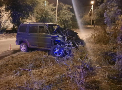 В Камышине водитель на «УАЗе Патриоте» врезался в дерево и попал к хирургам вместе с двумя своими пассажирами