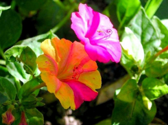 Дожди и грозы Камышин пока не покинули