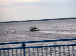 Залетная туча немного сбрызнула Камышин дождем, но это только репетиция погодной передышки