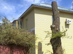 Зачем уничтожать последнюю тень у старых домов, обитых пластиком? - камышанка