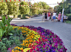 +31 и весь день солнце: погода в Камышине 9 июля