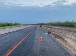 На московской трассе под колесами погибла женщина, появившаяся ночью на проезжей части