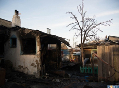 Ветка насмерть прибила селянина, запасавшего дрова, - «Блокнот Волгограда»