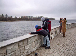 Депутат камышан в Госдуме Алексей Волоцков помечтал на камеру о причаливании круизных лайнеров в Камышине